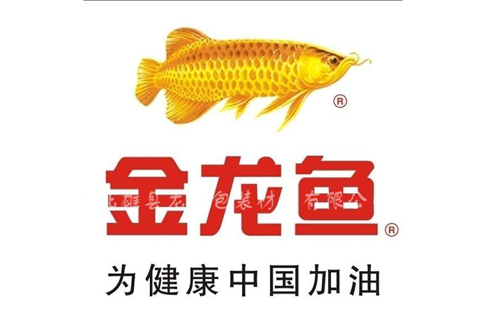 ���_(d��)���b-��������